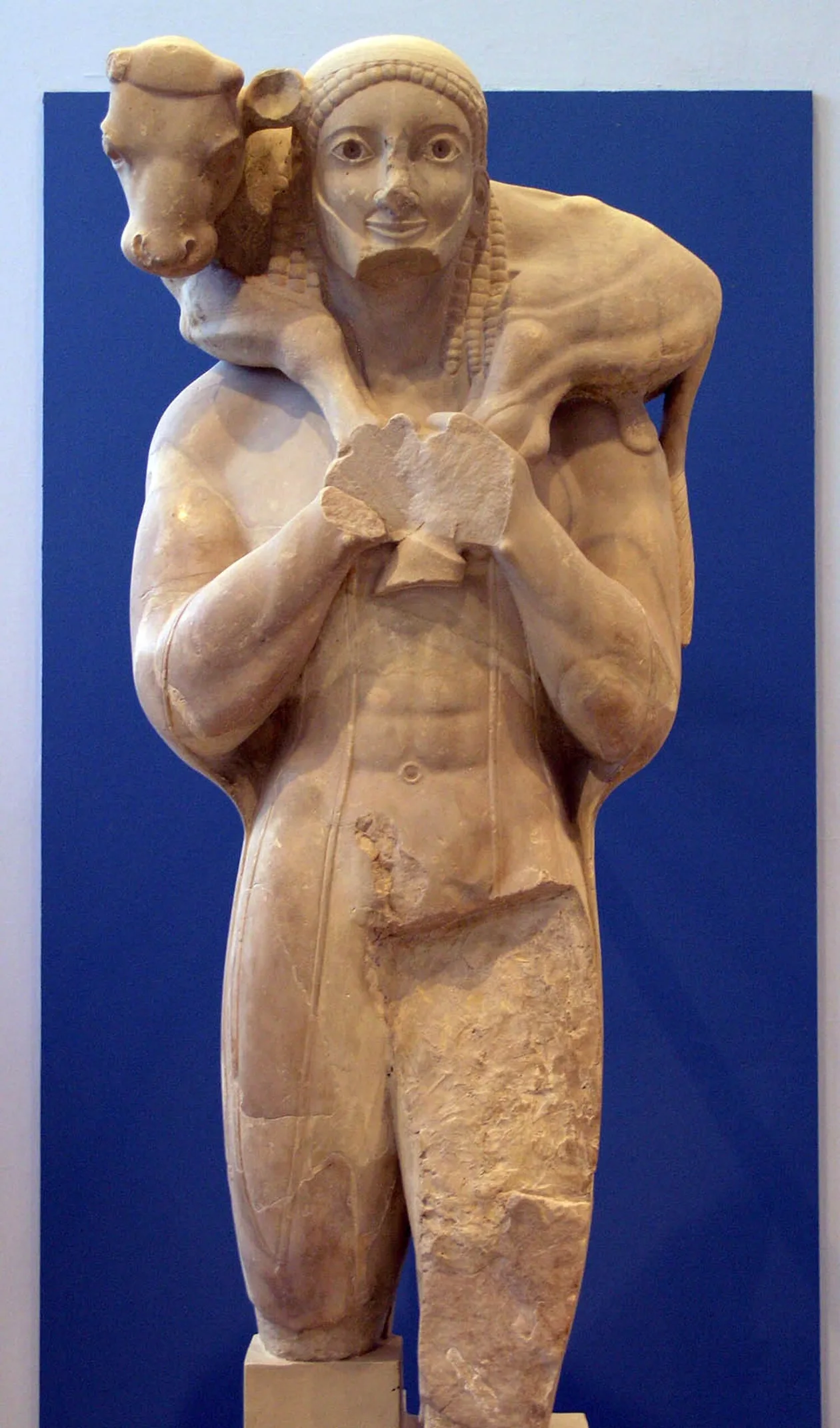 Archaic sculpture of a young man carrying a calf on his shoulders