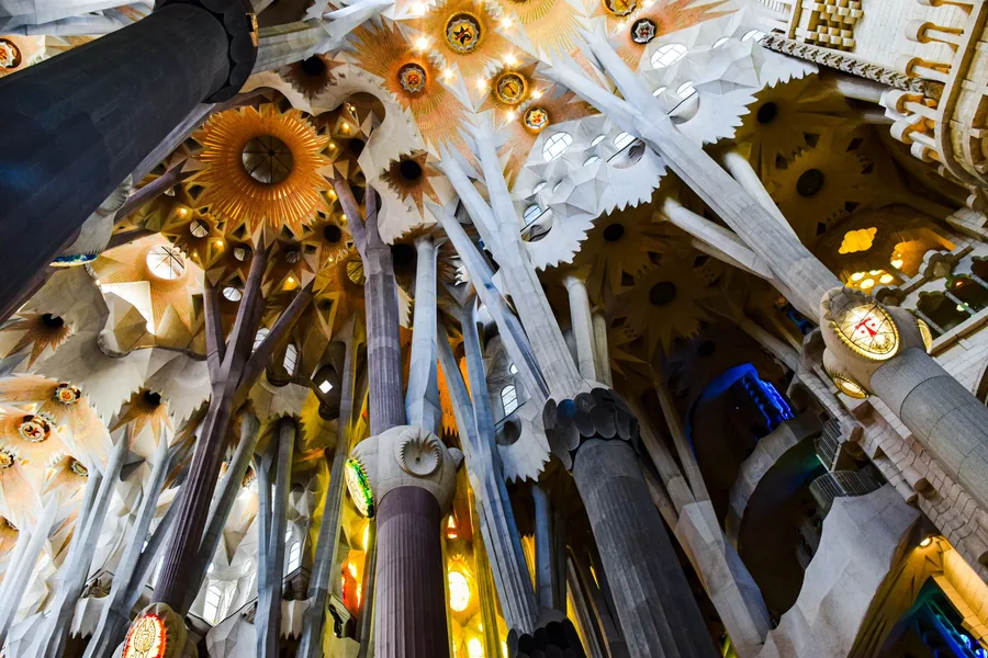 Sagrada Família interior — tree-shaped columns branching at the ceiling