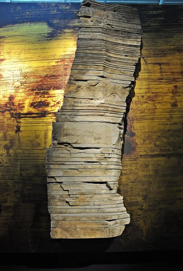 CosmoCaixa Barcelona Geological Wall showing authentic rock strata sections