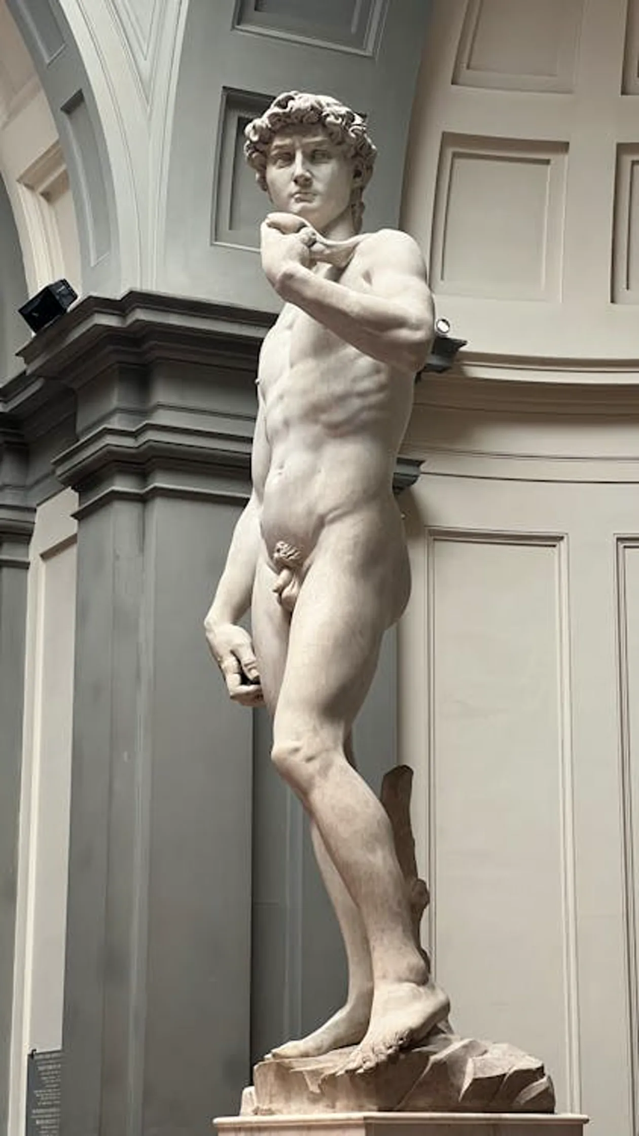 Michelangelo's David — full figure in the Accademia Gallery, Florence
