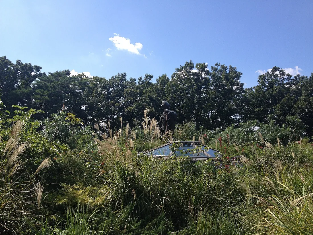 Ghibli Museum — the overgrown rooftop garden with the robot and a glass skylight in the tall grass