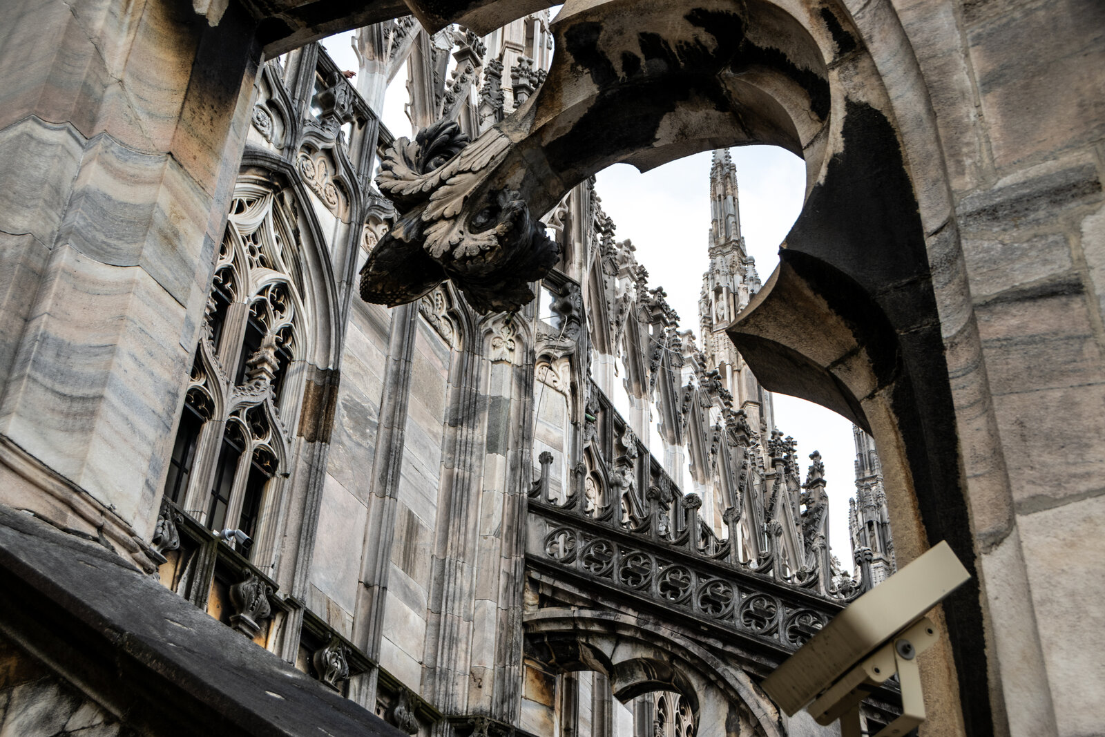 Milan Cathedral — Gothic spires and rooftop terraces with Madonnina statue