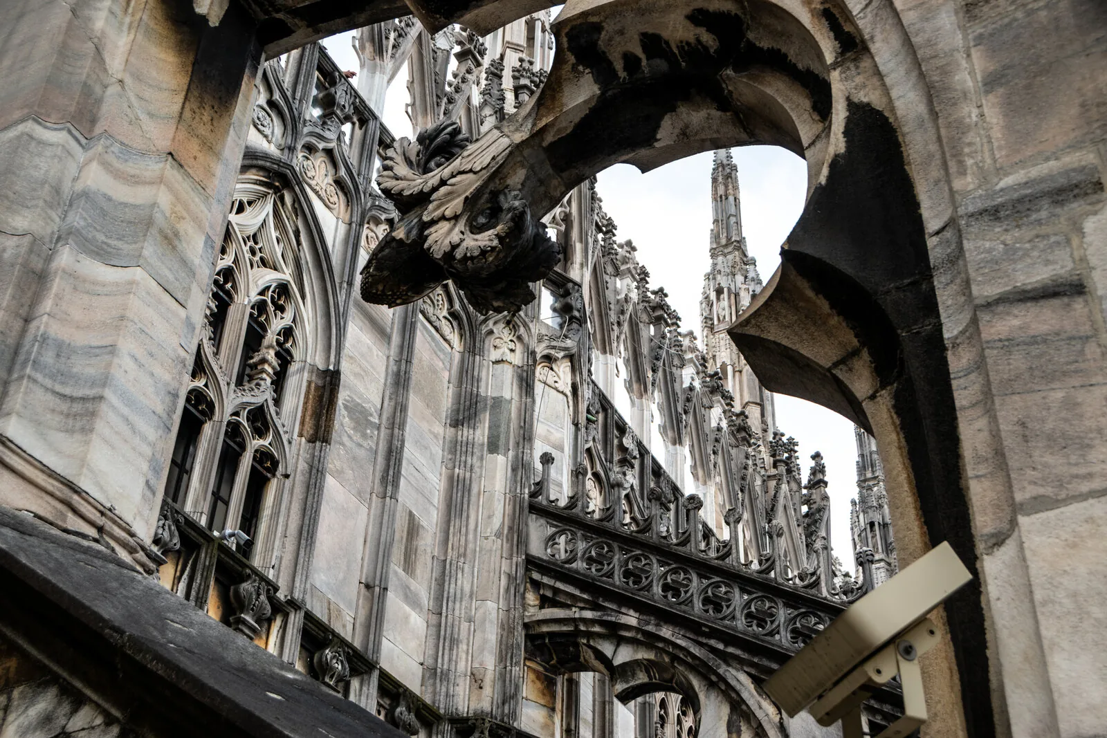 Milan Cathedral — Gothic spires and rooftop terraces with Madonnina statue