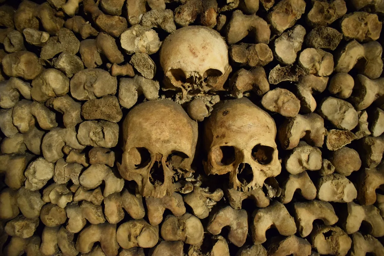 Decorative arrangement of skulls and femurs organized by Inspector Héricart de Thury — Catacombs of Paris