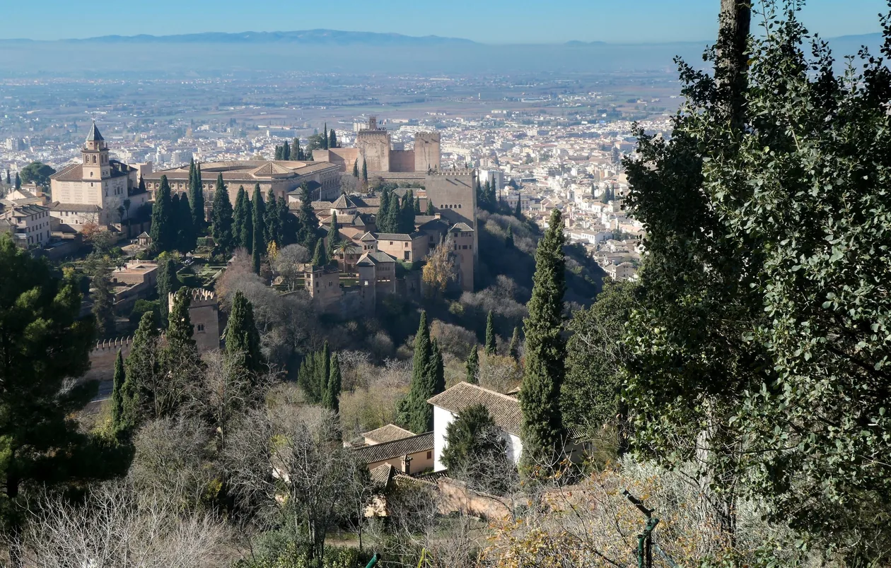 Aerial view of the Alhambra complex on its hill above Granada, surrounded by cypress trees