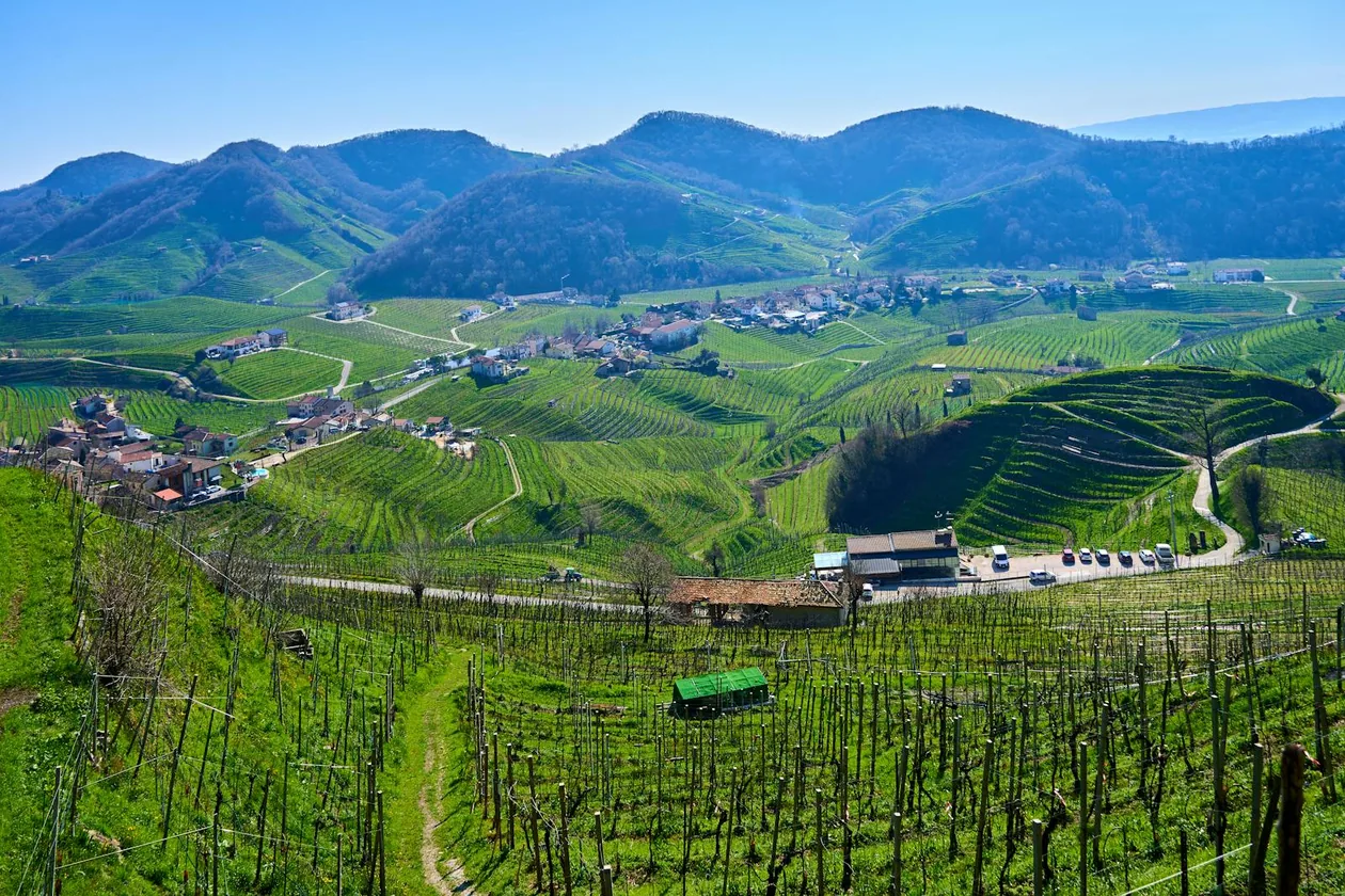 Best Wine Tours in Rome 2026: Frascati, Tuscany & In-City Tastings
