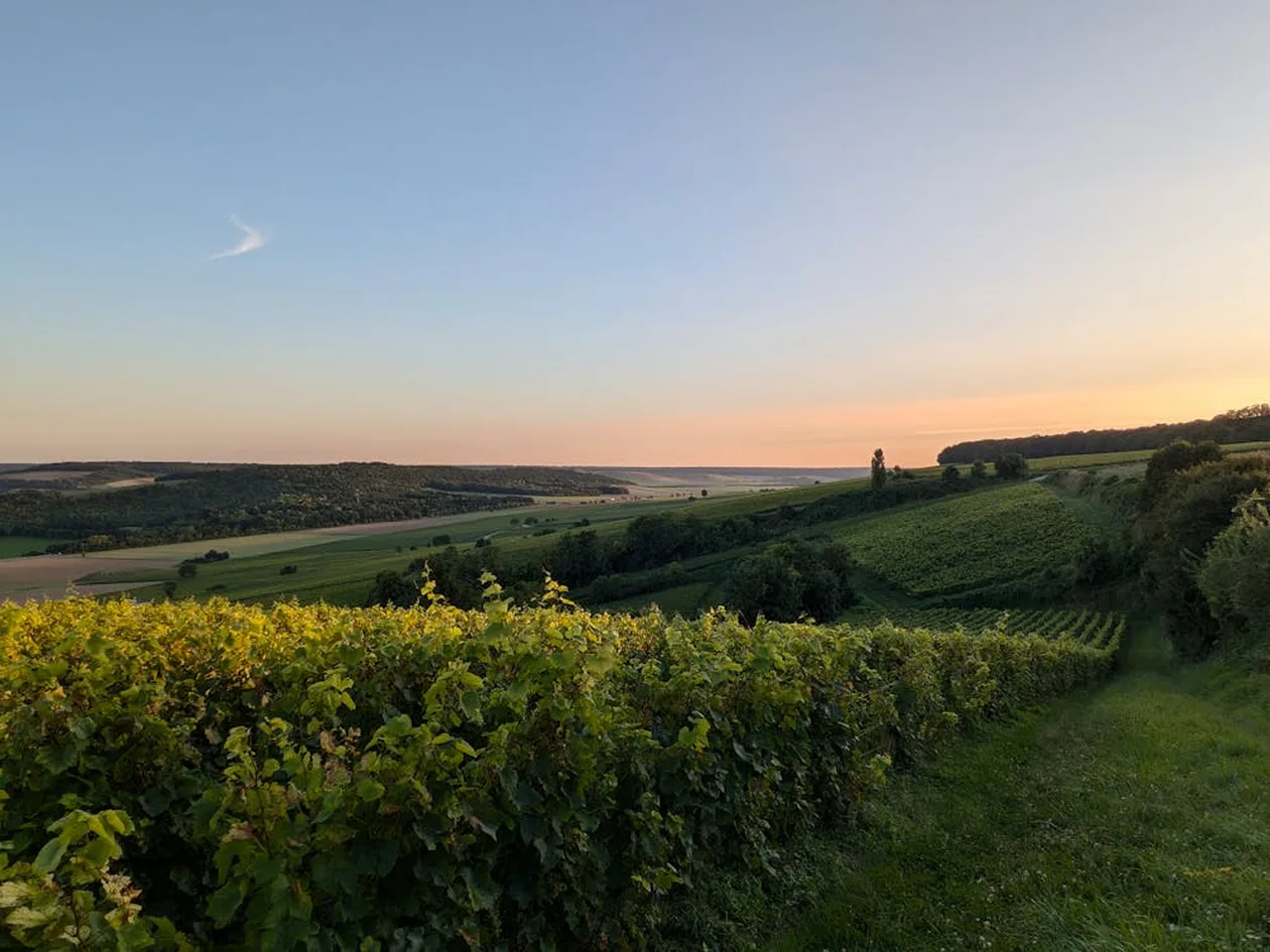 Champagne Day Trip from Paris: Reims or Épernay? (2026)