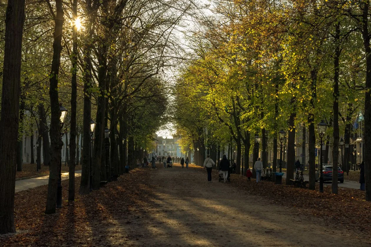The Lange Voorhout avenue in The Hague, home of Escher in Het Paleis