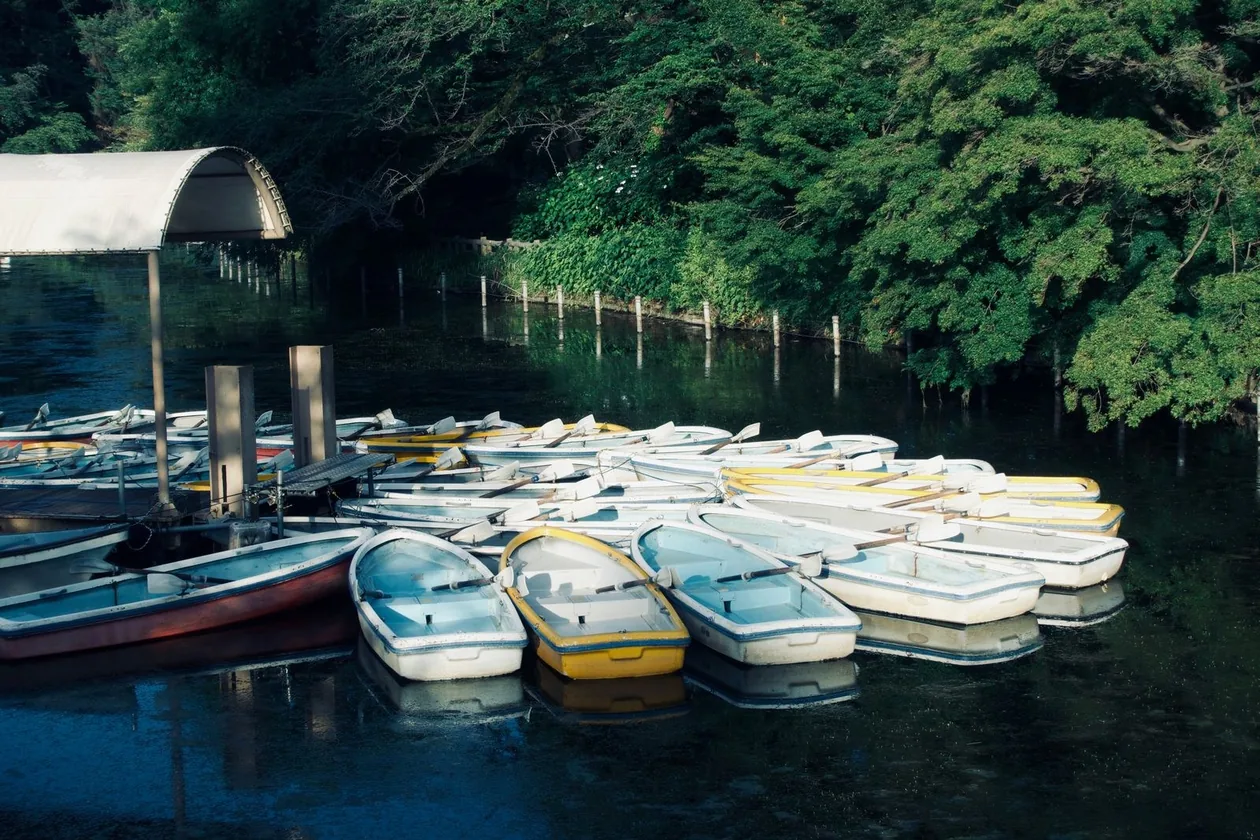 Rowing boats moored on the pond in Inokashira Park, Tokyo, in the woods around the Ghibli Museum