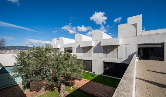 Montjuïc Museum Route: Miró Foundation + MNAC in One Day