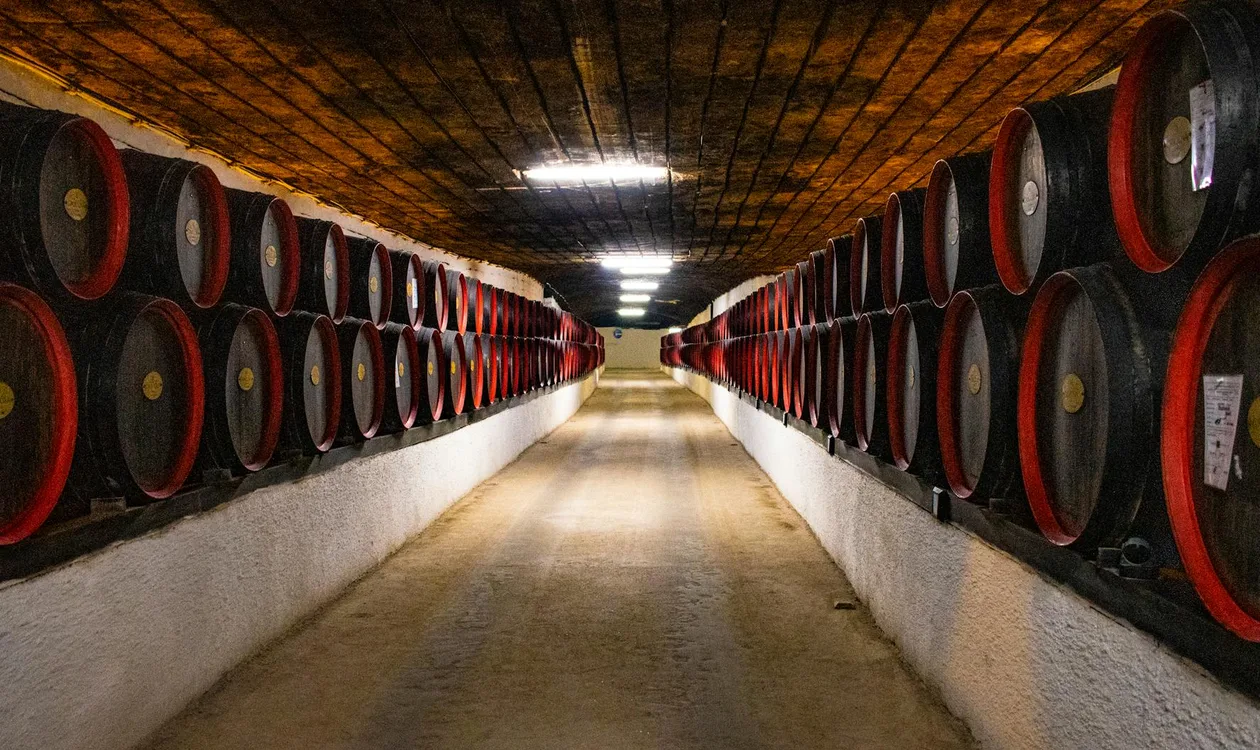 Long perspective of port wine barrels stacked in a Vila Nova de Gaia cellar